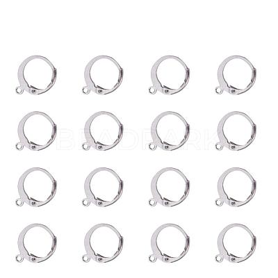 Tarnish Resistant 304 Stainless Steel Leverback Earring Findings STAS-I045-02-1