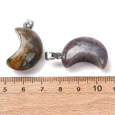 Natural Indian Agate Pendants G-F820-02L-13-1