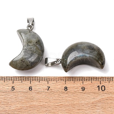 Natural Labradorite Pendants G-F820-02C-01-1