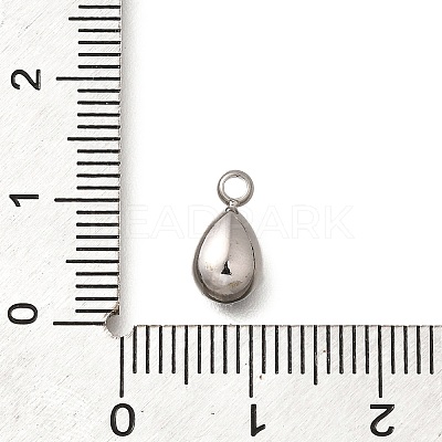 304 Stainless Steel Pendants STAS-Q346-04P-09-1