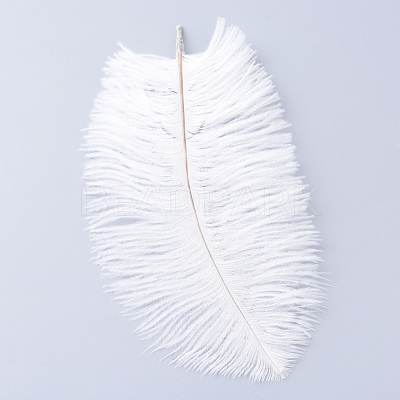 Ostrich Feather Costume Accessories FIND-R036-A-16-1