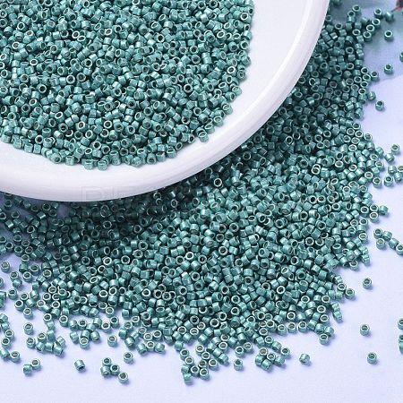 MIYUKI Delica Beads SEED-J020-DB1183-1