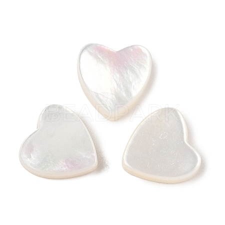 Natural White Shell Beads SSHEL-I026-09-1