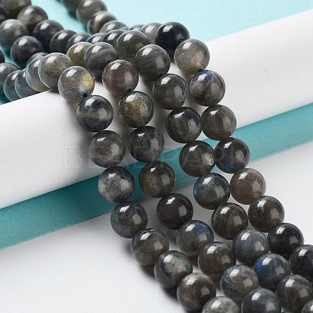 Natural Labradorite Beads Strands G-S333-6mm-035-1
