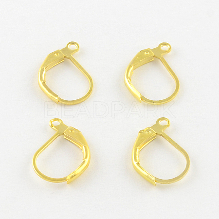 Iron Leverback Earring Findings IFIN-Q113-G-1