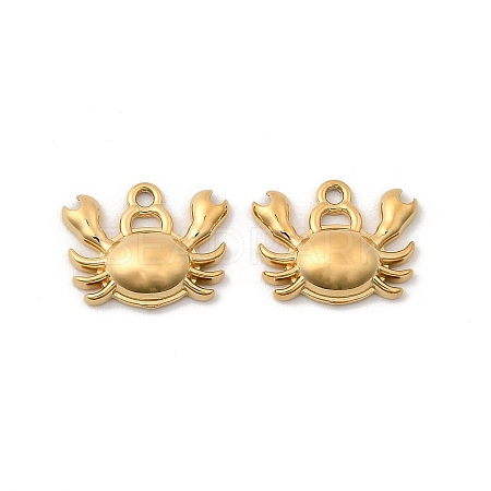 304 Stainless Steel Charms STAS-G358-08G-03-1