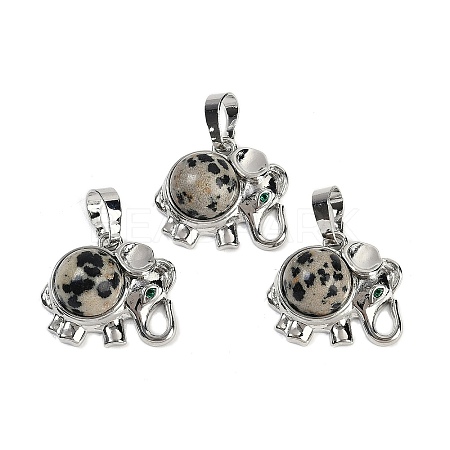 Natural Dalmatian Jasper Pendants G-I374-A-P18-1