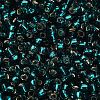 TOHO 6/0 Round Beads SEED-TR06-0027BD-4