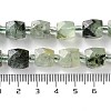 Natural Prehnite Beads Strands G-B065-A06-5