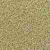 TOHO Round Seed Beads SEED-JPTR15-PF0559-2