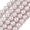 Electroplated Shell Pearl Beads Strands X-BSHE-G041-6mm-06-1