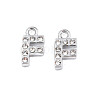 304 Stainless Steel Charms STAS-N095-137F-1