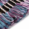 10 Skeins 6-Ply Polyester Embroidery Floss OCOR-K006-A27-2
