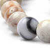 Natural Crazy Lace Agate Beads Strands G-S259-38-10mm-3