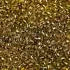 TOHO Round Seed Beads X-SEED-TR08-2155S-2