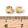 Baking Paint Glass Seed Beads SEED-N009-02E-3