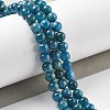 Natural Apatite Beads Strands G-O186-G01-01-2