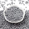 6/0 Glass Seed Beads SEED-L011-08A-11-2