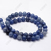 Dyed & Heated Natural Blue Aventurine Beads Strands X-G-I199-24-8mm-5