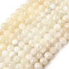 Natural White Moonstone Beads Strands G-F674-08-8mm-01-3