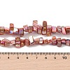 Natural Freshwater Shell Beads Strands BSHE-H018-07-5