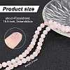 2 Strands Natural Rose Quartz Dyed Beads Strands G-GO0001-27B-2