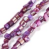 Dyed Natural Freshwater Shell Beads Strands SHEL-P016-01D-1