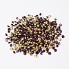 Back Plated Grade A Diamond Glass Pointed Rhinestone RGLA-SS6-016-2