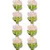 Handmade Lampwork Beads Strands LAMP-A005-03E-1