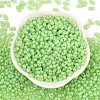 Baking Paint Glass Seed Beads SEED-L011-09A-18-2