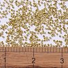 MIYUKI Delica Beads X-SEED-J020-DB1832-4