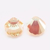 K9 Glass Rhinestone Pendants X-GLAA-F083-02A-3