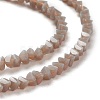 Glass Beads Strands X-GLAA-L031-01-C10-2
