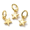 Brass Charms KK-K341-15G-1