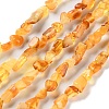 Natural Amber Beads Strands G-P497-01C-04-1