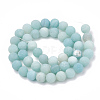 Natural Amazonite Beads Strands G-T106-190-3