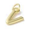 Rack Plating Brass Charms KK-P245-06G-V-2