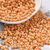 Baking Paint Glass Seed Beads SEED-K009-01A-13-1