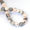 Natural Zebra Jasper Round Bead Strands X-G-E334-8mm-11-3