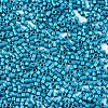 11/0 Grade A Baking Paint Glass Seed Beads SEED-S030-1041-2