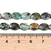 Natural African Turquoise(Jasper) Beads Strands G-H349-A01-16-5