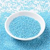 MIYUKI Round Rocailles Beads SEED-G007-RR0647-2