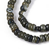 Natural Freshwater Shell Dyed Beads Strands SHEL-T020-29A-4