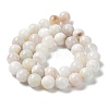 Natural Rainbow Moonstone Beads Strands G-N328-024-10mm-3