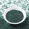 MIYUKI Round Rocailles Beads X-SEED-G007-RR0289-3