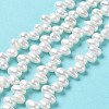 Natural Cultured Freshwater Pearl Beads Strands PEAR-J007-84-2