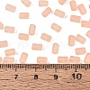 FGB Frosted Transparent Glass Seed Beads SEED-N013-05A-04-4