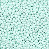 6/0 Glass Seed Beads X1-SEED-L011-08A-14-3