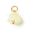 Transparent Acrylic Charms PALLOY-JF01604-01-3