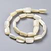 Natural Shell Beads Strands SSHEL-K026-01-2